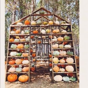 Meet your Posher, Charlene